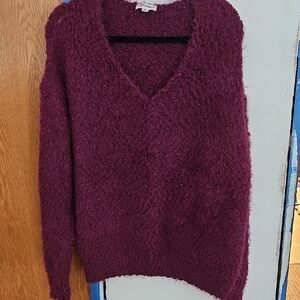Eesome Rich Plum V-Neck Sweater